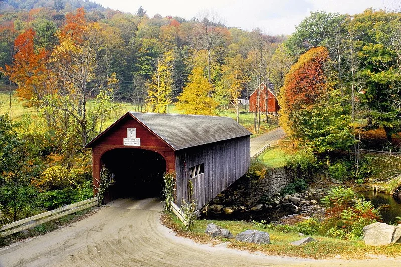 Japanese cherry blossom wall decor -Wall Decor with custom vibes-Vermont Covered Bridge By Danita Delimont - Dark Green